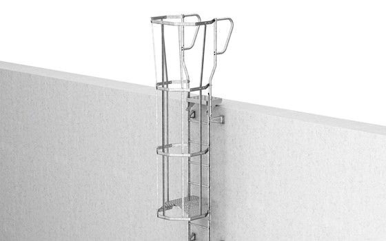 Rückenschutz für Fassadenleiter