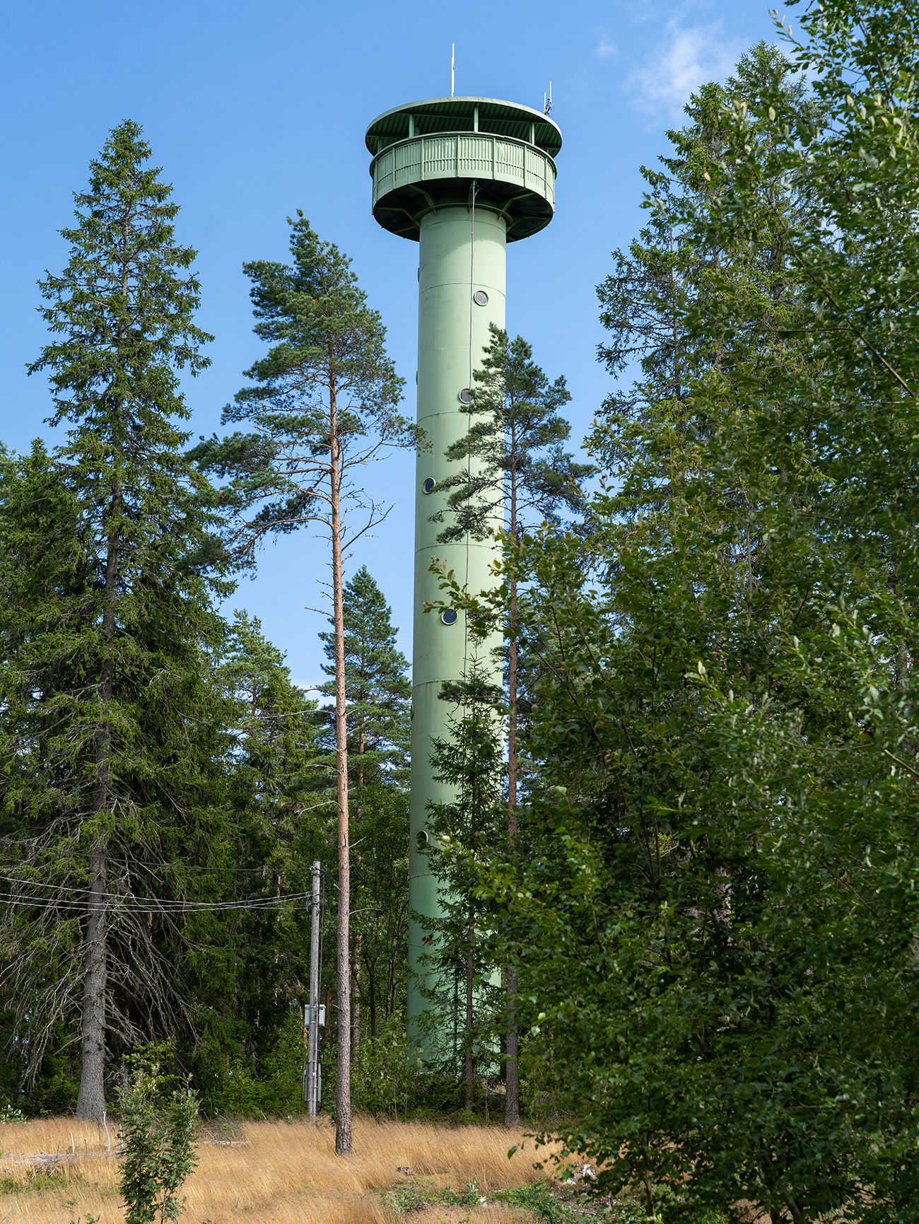 „Skogstornet“